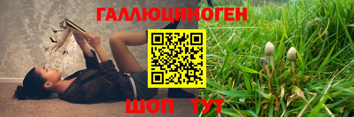 Псилоцибиновые грибы прущие грибы  Вход с VPN  Псилоцибиновые грибы Magic Shrooms  Южно-Сахалинск 